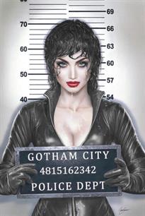 DC Catwoman 47 "Mugshot" 
After Adam Hughes 11x17 Limited Print 25qty